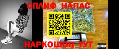 гидропоника Славгород