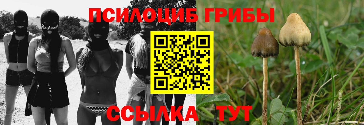 Галлюциногенные грибы мицелий  Вход с VPN  Нурлат  Галлюциногенные грибы Magic Shrooms 