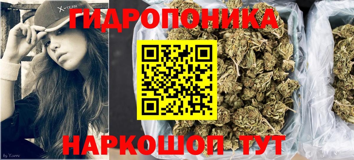 Каннабис сатива Нурлат
